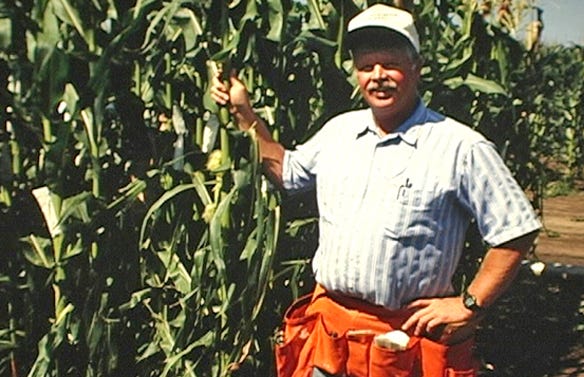 Tom Hoegemeyer standing in front of corn stalks