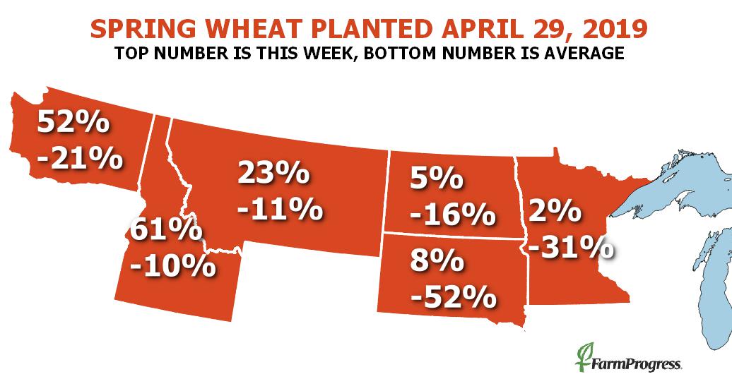 USDA crop progress: Corn planting gains momentum