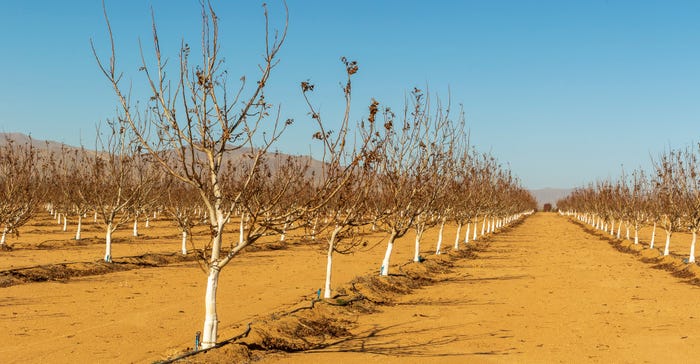 wfp-todd-fitchette-northern-arizona-orchards-1.jpg wfp-todd-fitchette-northern-arizona-orchards-1.jpg