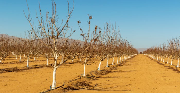 wfp-todd-fitchette-northern-arizona-orchards-1.jpg