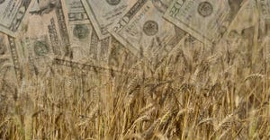 Wheat and US currency in double exposure shot