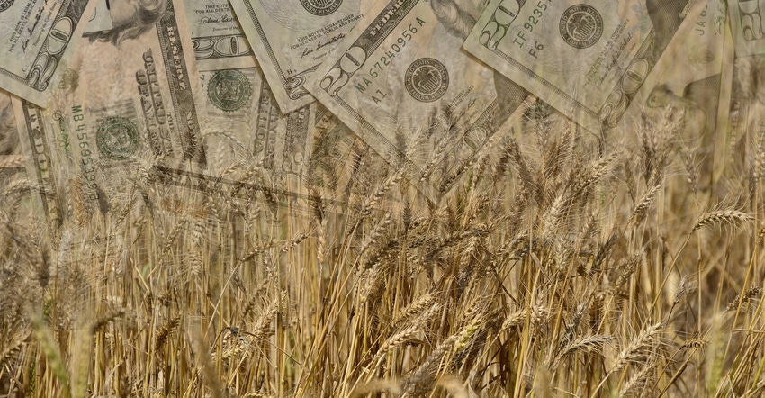 Wheat and US currency in double exposure shot Wheat and US currency in double exposure shot