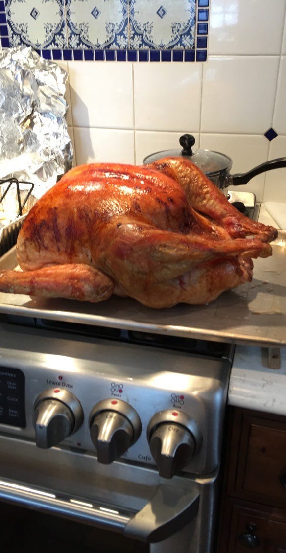 Cooked turkey 