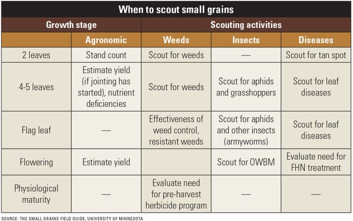 when to scout small grains chart