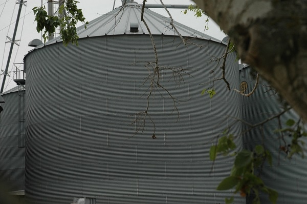 5 Important Safety Tips When Working in Grain Silos