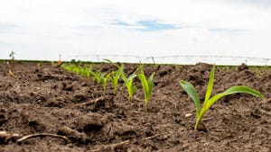 Targeted In-Furrow Corn Solutions