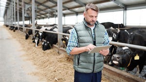 A man in a dairy farm holding a tablet
