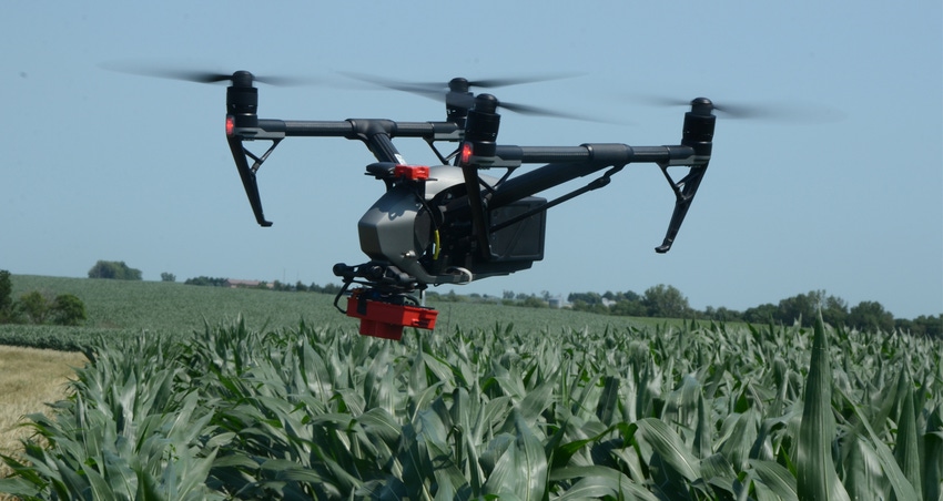 drone flying above corn field