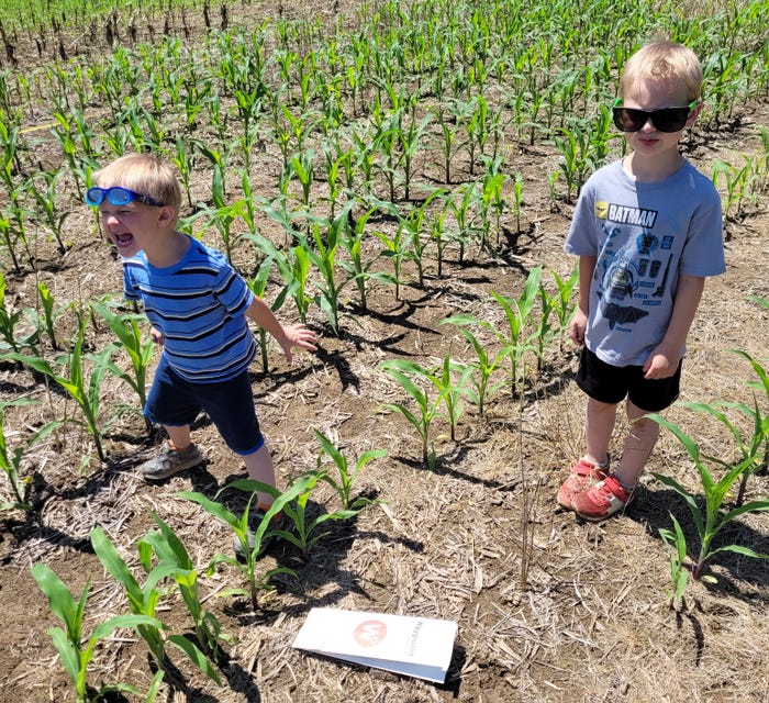 young Reskovacs help out in the field