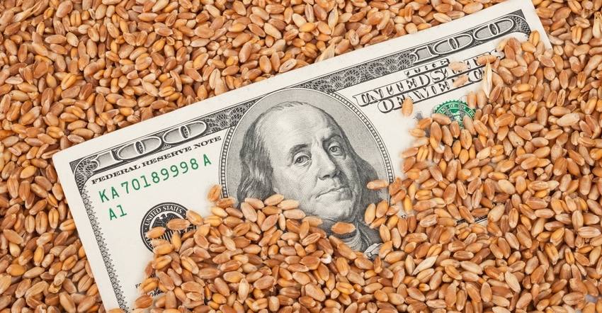 grain covering $100 dollar bill