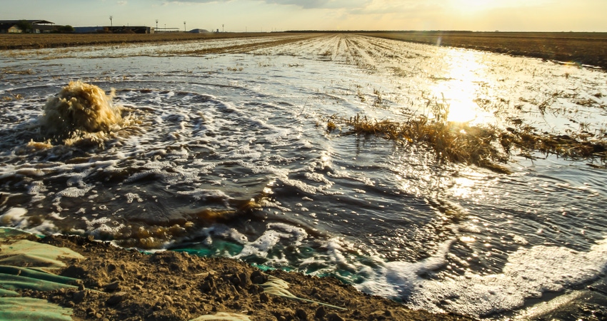 WFP-fitchette-flooded-field.jpg