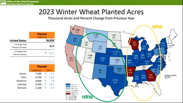 2023 winter wheat planted acres chart and map