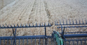 view of wheat field from inside tractor 