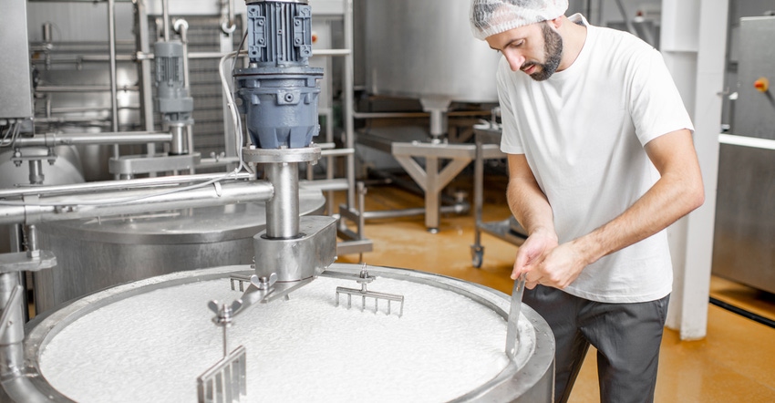 Man mixing milk in tank during the fermentation process at cheese manufacturing plant