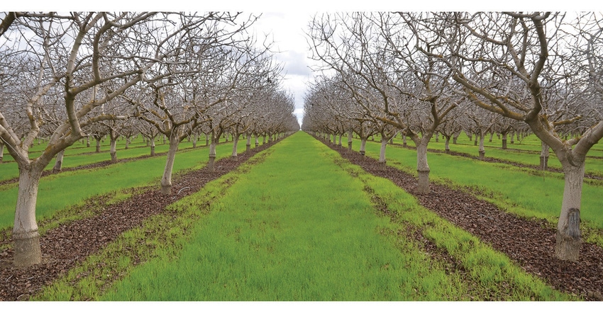 TNFP0520-UC-cover-crops.JPG TNFP0520-UC-cover-crops.JPG