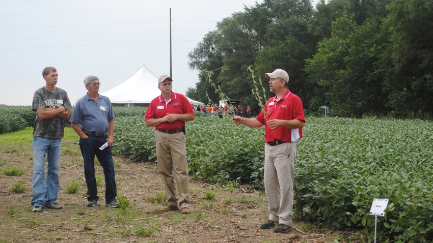 Producers talking to attendees at the Soybean Management Field Days