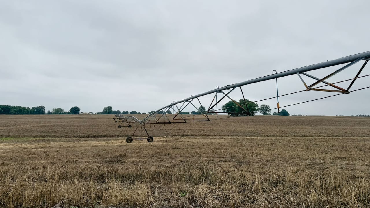 Family builds on past success with subsurface drip irrigation