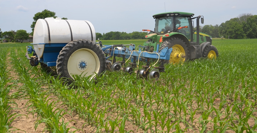 nitrogen application to corn plants