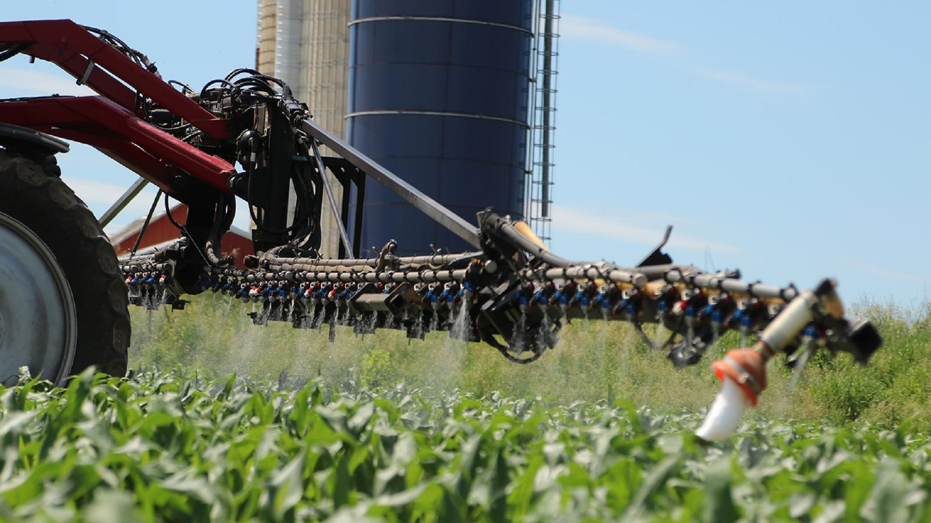 4 Weed Control Myths Busted