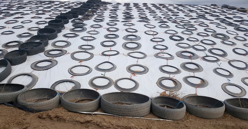 used tires weigh down plastic sheeting over silage pile