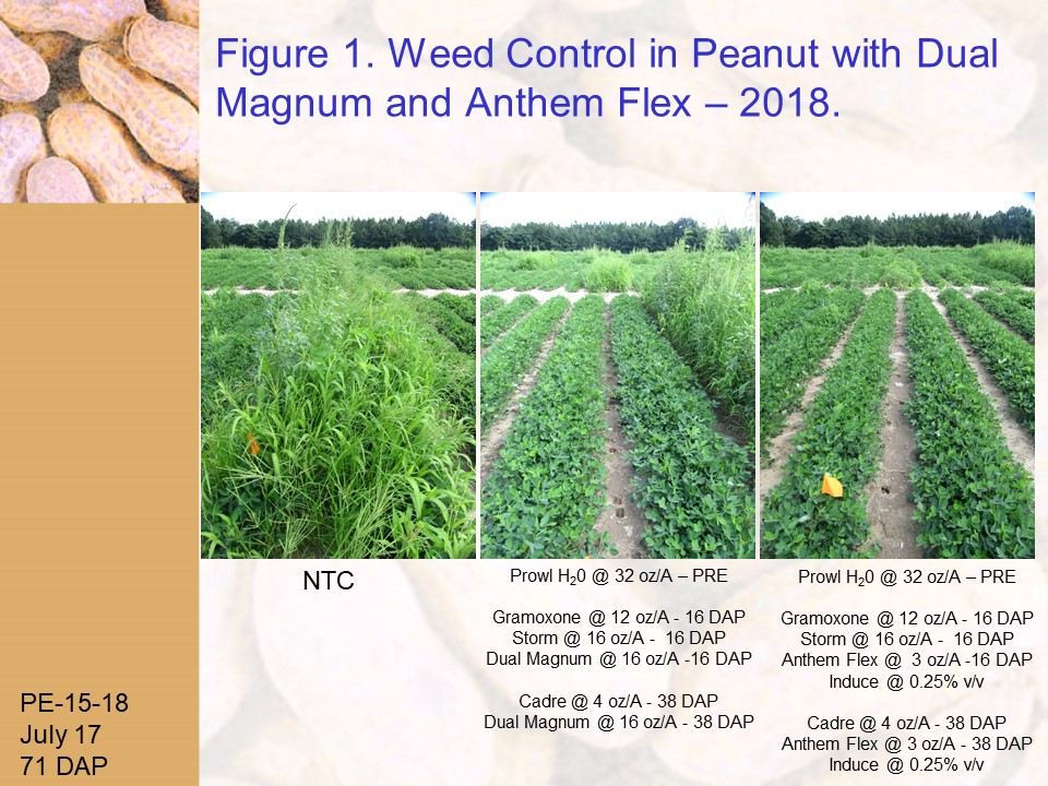 Double Check Herbicide Labels If Planning To Graze Cover Crops - Practical  Farmers of Iowa