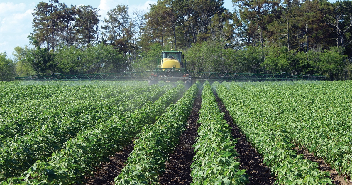 XtendFlex soybeans in 2020?