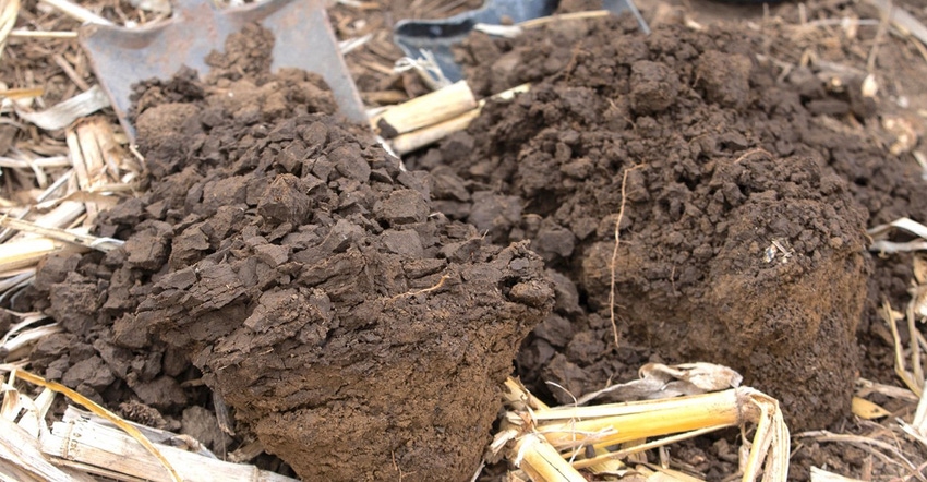 Soil examples from neighboring fields near Garreston, South Dakota 
