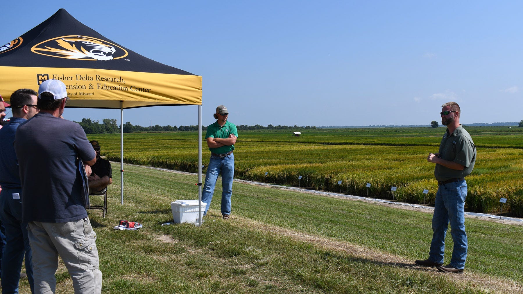 Researcher presenting in front of a rice field to a crowd at a field day.