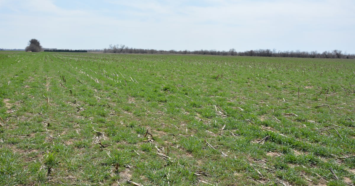 Reservoir Protection Initiative is wise, development