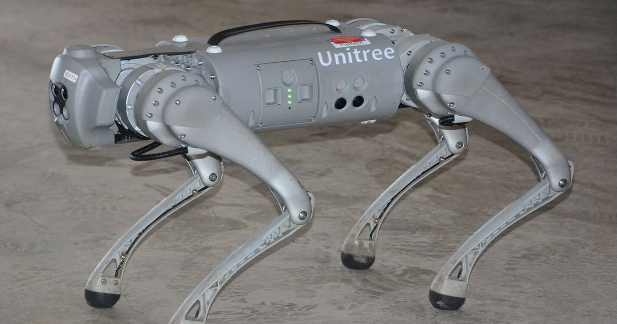 How virtual fence, robot dogs could change beef production