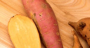 WFP-ARS-sweet-potato.jpg