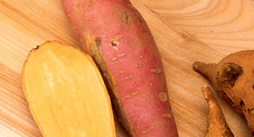 WFP-ARS-sweet-potato.jpg