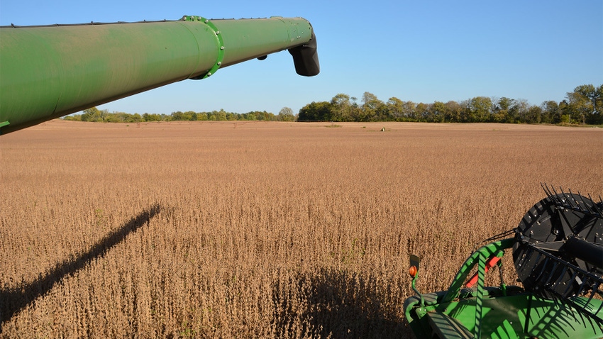 A green auger stretches over a soybean field being harvested