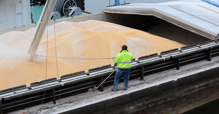 loading corn into shipping hold