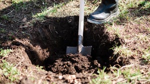 hole being dug