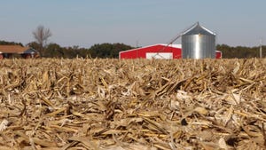 corn residue on ground after harvest