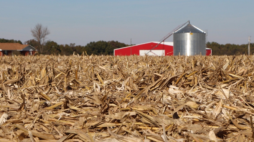 corn residue on ground after harvest corn residue on ground after harvest