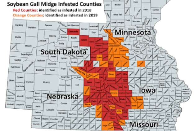 soybean-gall-midge-counties.png