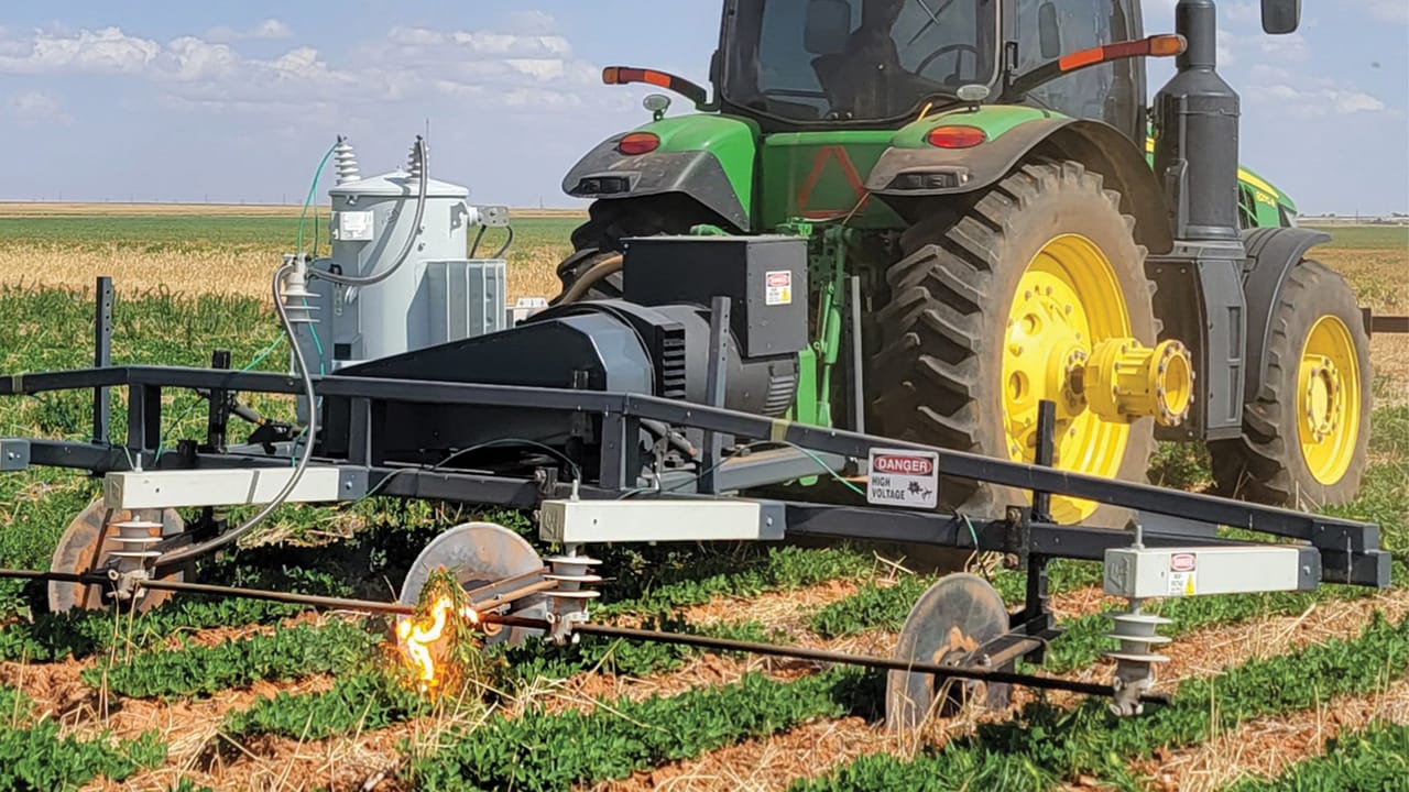 Weed Rapper Gun 24,000 volts manages weeds in organic, conventional fields