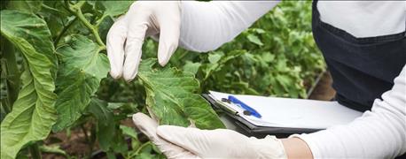 ag_groups_comment_aphis_proposal_revise_biotech_regulations_1_635972822359549862.jpg