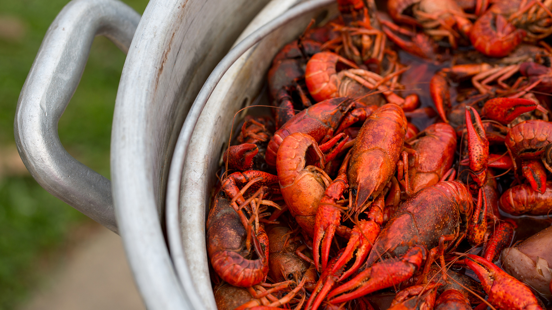 Crawfish Boil