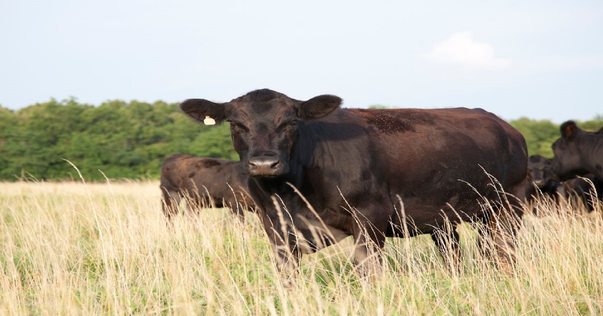 Farm Progress America, April 26, 2024