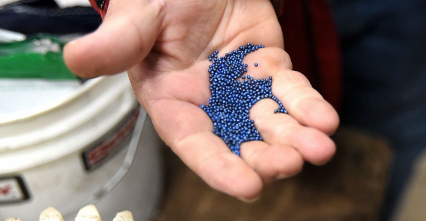A handful of coated seeds from Zymtronix Catalytic Systems