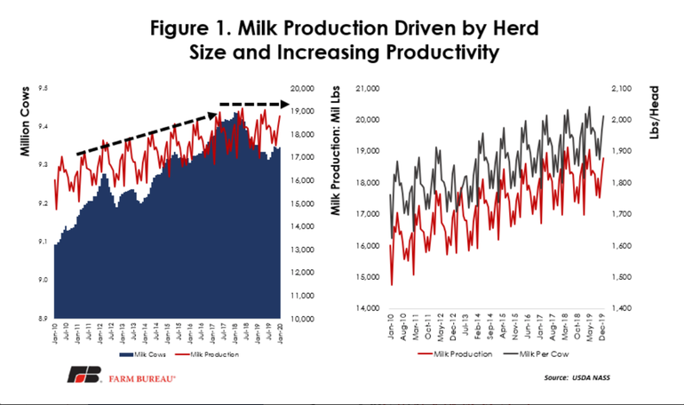 Milk Production Driven By Herd Size And Increasing Productivity