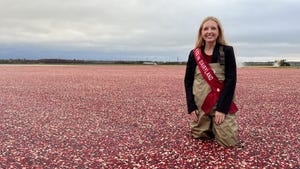 Ashley Hagenow stands in a cranberry bog during harvest