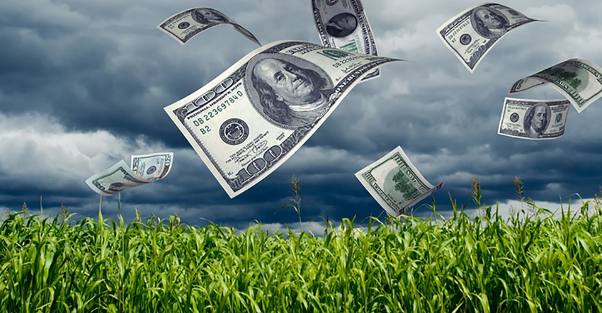 U.S. paper money flying from corn field. agriculture business and finance
