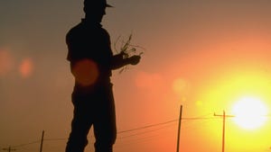 Silhouette of farmer holding wheat