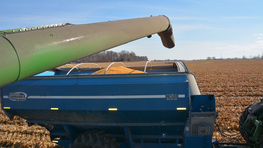 a grain auger extended over a grain cart full of corn in the field