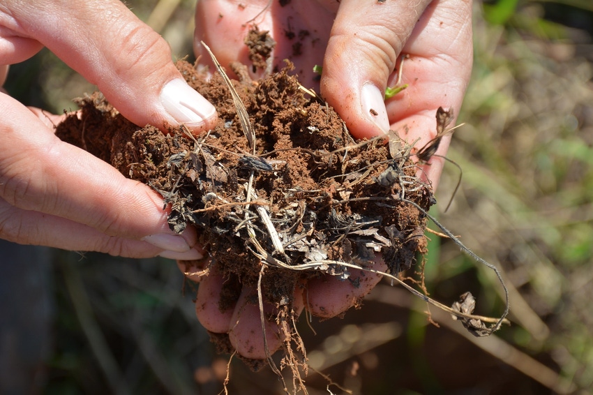 Good soil in the hand