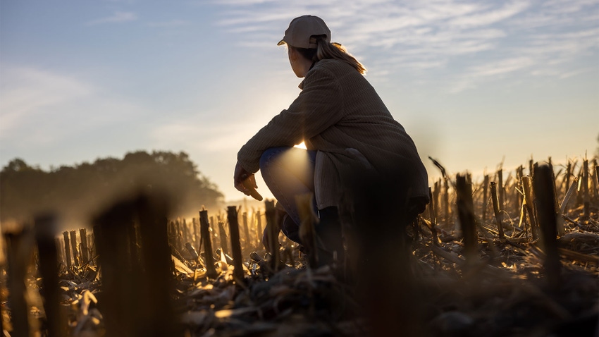 Adult woman with blond hair kneeling inside of a stubble field with cut corn plants looking toward a sunset
